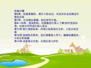 XX地区居民社会调查汇报 基于生活现状与公共服务需求的分析