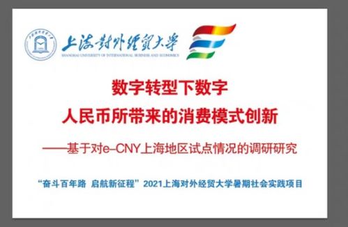 数字人民币在上海 大学生暑期社会实践探索商业数字化转型之路
